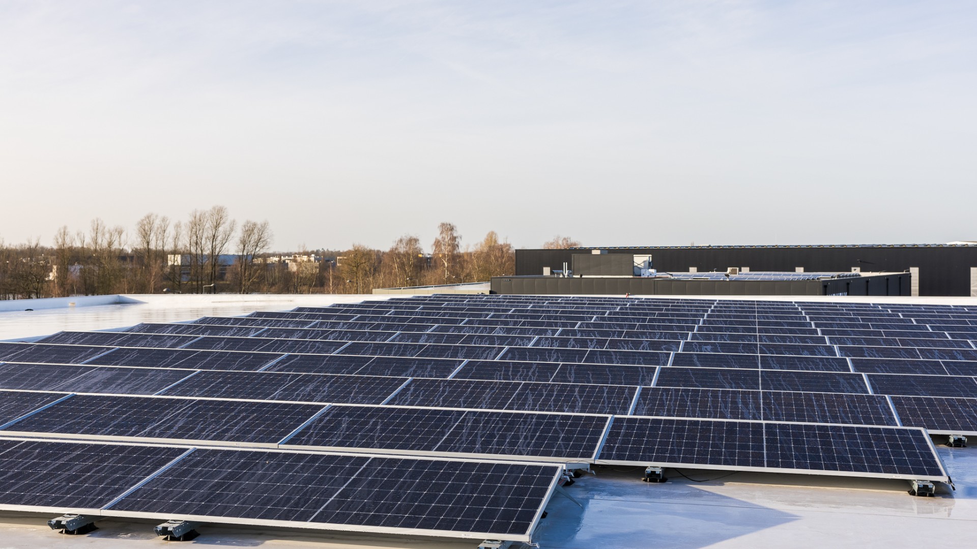 Netcongestie: wat is het en wat kun je doen?